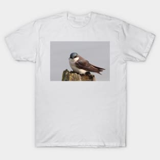 An Extremally Good-Looking Tree Swallow T-Shirt